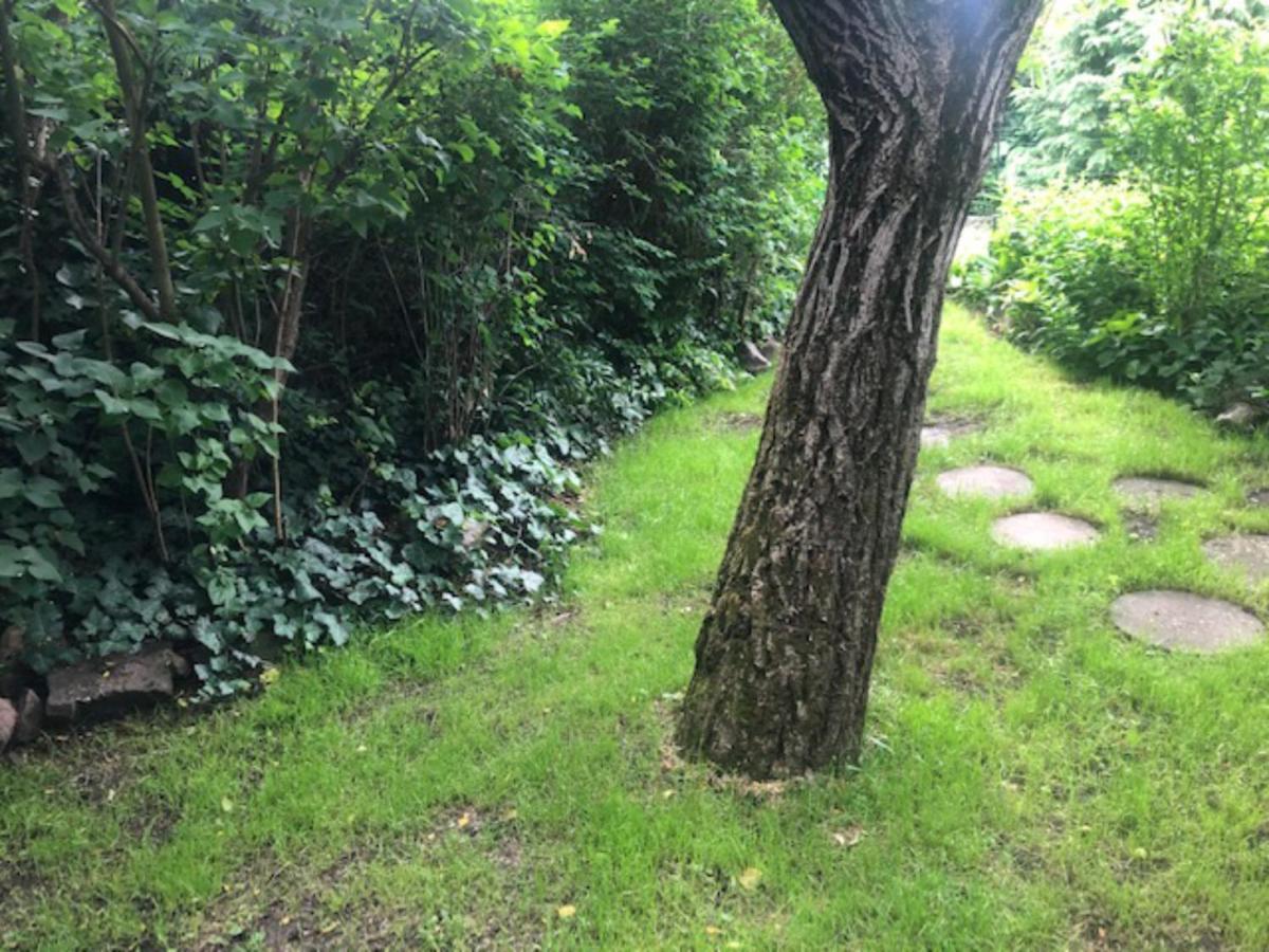 Tulipan Haz Villa Szentendre Luaran gambar
