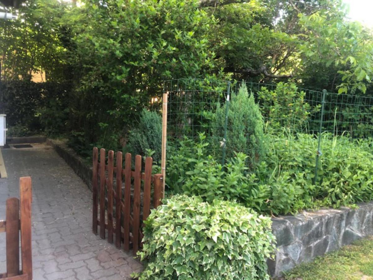 Tulipan Haz Villa Szentendre Luaran gambar