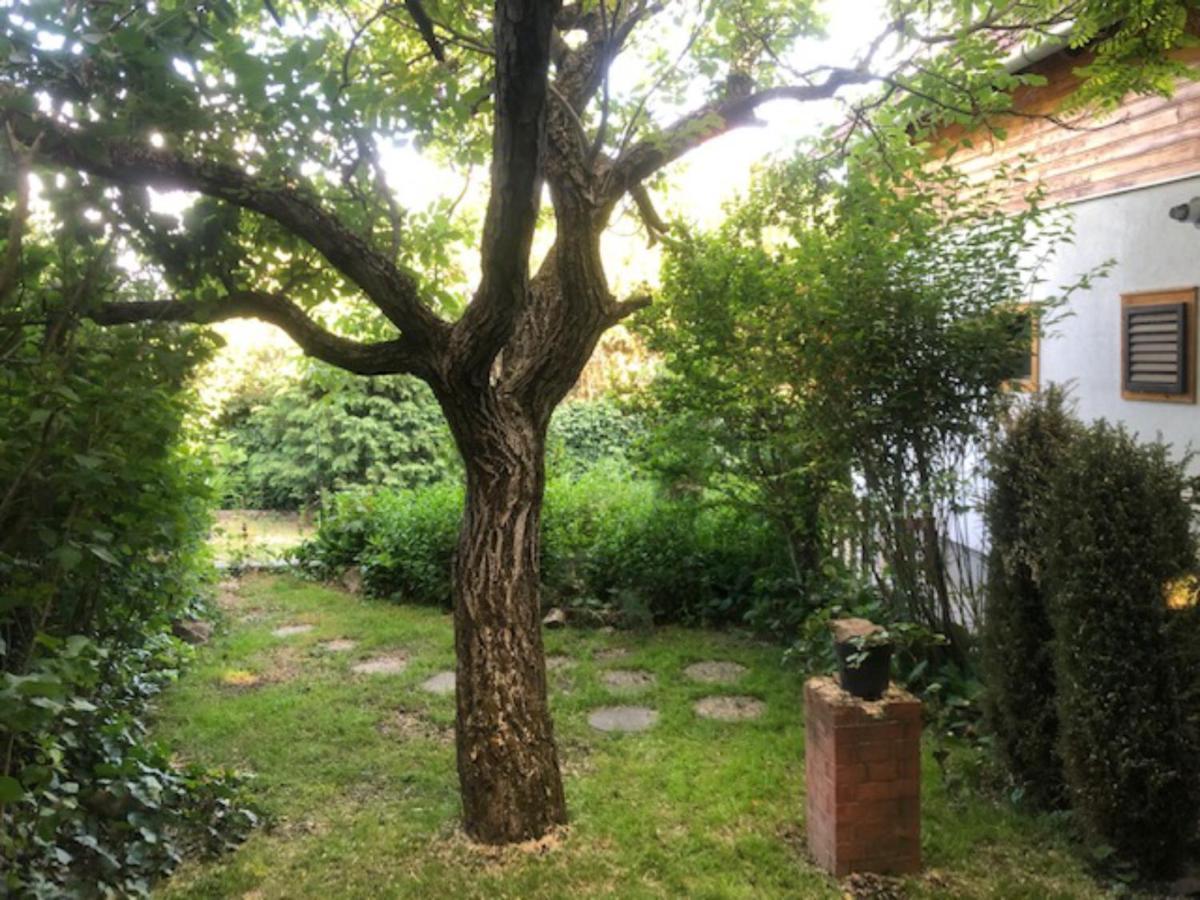 Tulipan Haz Villa Szentendre Luaran gambar