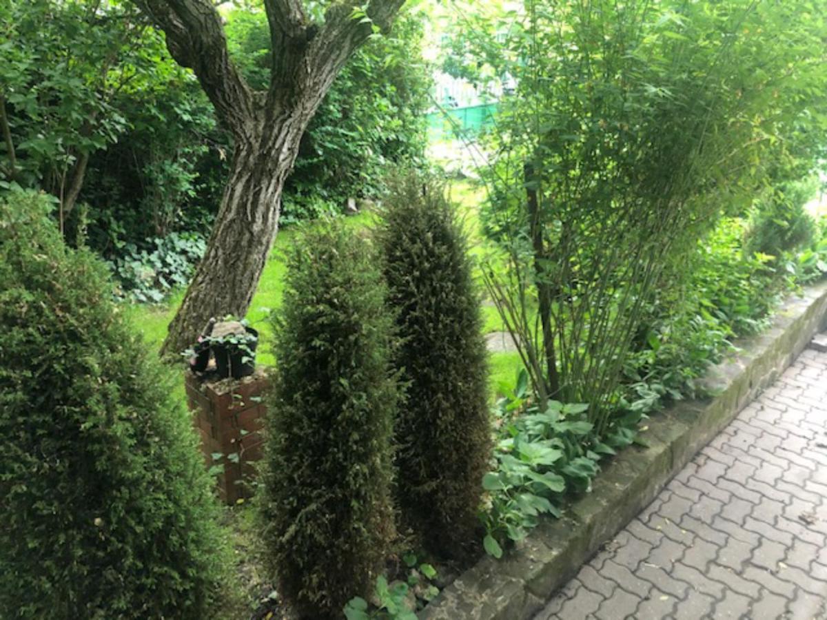 Tulipan Haz Villa Szentendre Luaran gambar