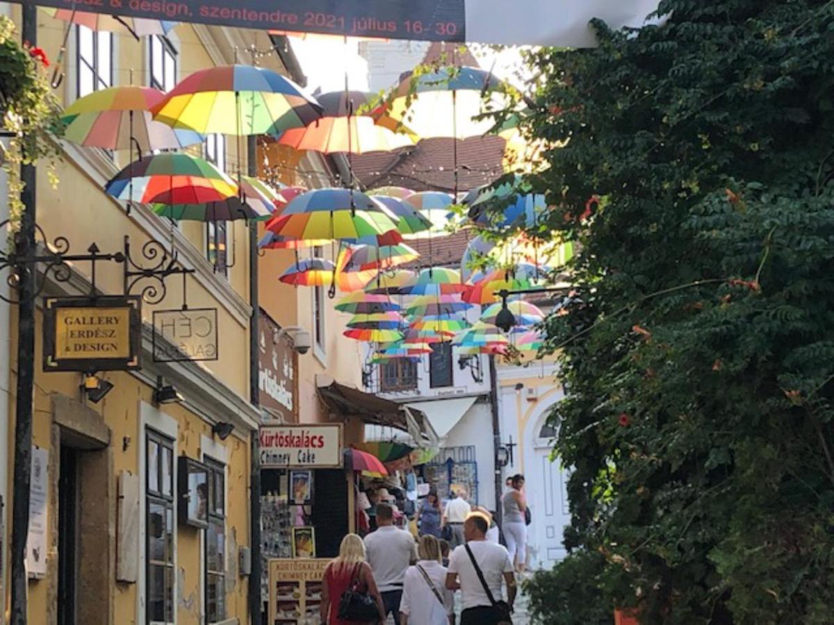 Tulipan Haz Villa Szentendre Luaran gambar